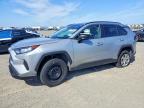 TOYOTA RAV4 2021