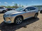 LEXUS RX 2020