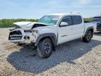 TOYOTA TACOMA 2023