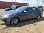 KIA OPTIMA 2011