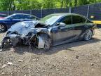 LEXUS IS 2023