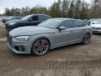 AUDI S5 2022