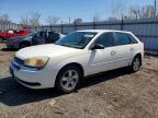 CHEVROLET MALIBU 2005