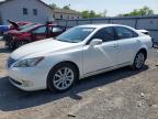 LEXUS ES 2010