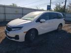 HONDA ODYSSEY 2026