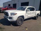 TOYOTA TACOMA 2023