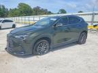 LEXUS NX 2024