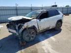 TOYOTA RAV4 PRIME 2024