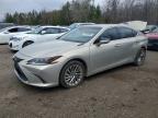 LEXUS ES 2019