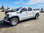 GMC SIERRA 2024
