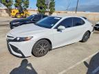 TOYOTA CAMRY 2023