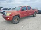 TOYOTA TACOMA 2005