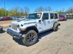 JEEP WRANGLER 2023