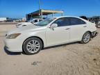 LEXUS ES 2007