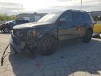 KIA TELLURIDE 2025