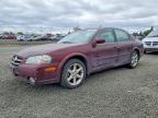 NISSAN MAXIMA 2002