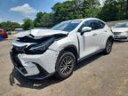 LEXUS NX 2023