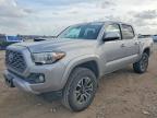 TOYOTA TACOMA 2020
