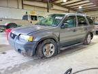FORD ESCAPE 2007