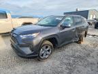TOYOTA RAV4 2024
