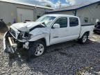 TOYOTA TACOMA 2006