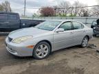 LEXUS ES 330 2005