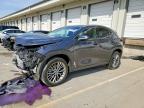 LEXUS NX 2022