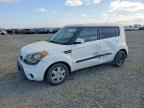KIA SOUL 2013