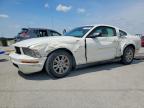 FORD MUSTANG 2005