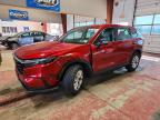 HONDA CR-V 2024