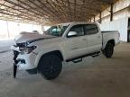 TOYOTA TACOMA 2023