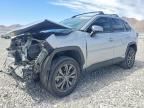 TOYOTA RAV4 2024