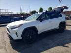 TOYOTA RAV4 2024