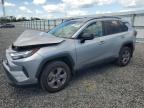 TOYOTA RAV4 2024