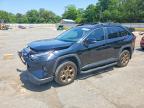TOYOTA RAV4 2023