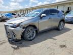 LEXUS NX 2024