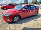 HYUNDAI IONIQ 2019