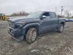 TOYOTA TACOMA 2025