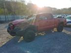 TOYOTA TACOMA 2019