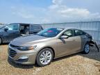 CHEVROLET MALIBU 2024