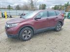 HONDA CR-V 2019