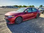 TOYOTA CAMRY 2020