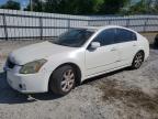 NISSAN MAXIMA 2008