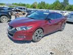NISSAN MAXIMA 2016