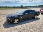 FORD MUSTANG 2009