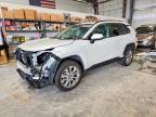 TOYOTA RAV4 2024