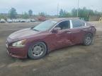 NISSAN MAXIMA 2010