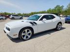 DODGE CHALLENGER 2013