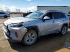 TOYOTA RAV4 2024