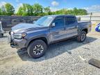 TOYOTA TACOMA 2023